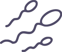 sperm-cells